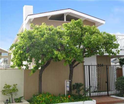 304 colton street, newport beach, ca 92663 304 colton street, newport beach, ca 92663